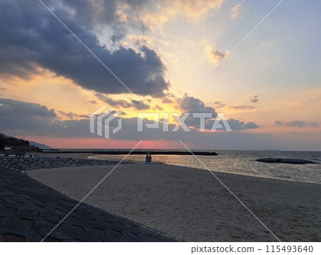 一隻黑色獵鷹俯衝下來拍攝愛媛海岸的日落 一隻黑色獵鷹俯衝下來拍攝愛媛海岸的日落 115493640