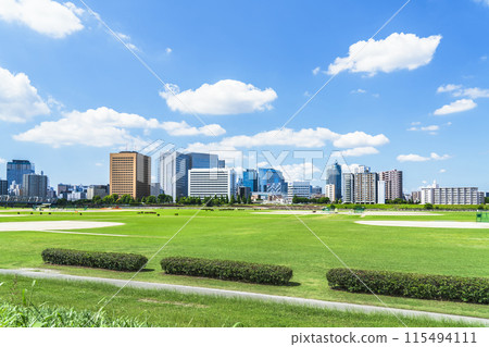 Kawasaki cityscape: Tamagawa Green Space and buildings in front of Kawasaki Station [Kawasaki City, Kanagawa Prefecture] 115494111