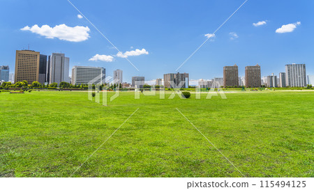 川崎的城市景觀：川崎站前的玉川綠地與建築物景觀[神奈川縣川崎市] 115494125