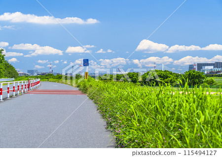 夏季的多摩川河床、夏日天空下的自行車道風景【東京大田區~神奈川縣川崎市】 夏季的多摩川河床、夏日天空下的自行車道風景【東京大田區~神奈川縣川崎市】 115494127