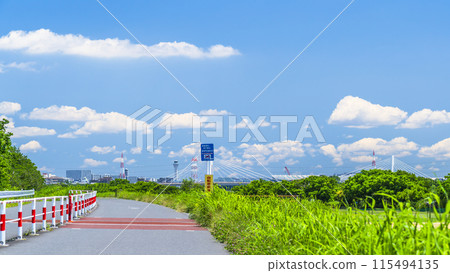 夏季的多摩川河床、夏日天空下的自行車道風景【東京大田區~神奈川縣川崎市】 夏季的多摩川河床、夏日天空下的自行車道風景【東京大田區~神奈川縣川崎市】 115494135