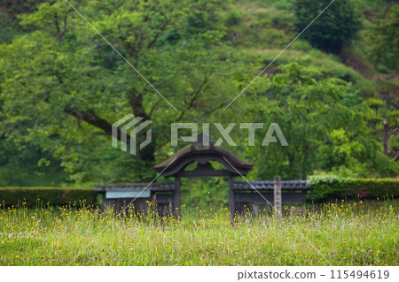 Spring at Ichijodani Asakura Clan Ruins 115494619