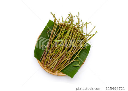 Water convolvulus or water spinach on white background. Water convolvulus or water spinach on white background. 115494721