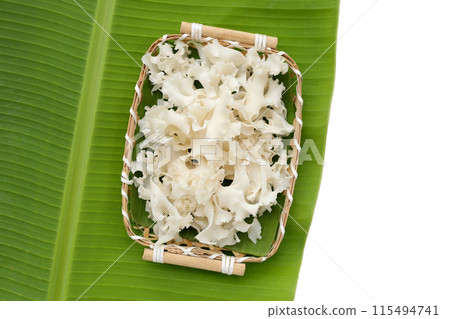 Cauliflower mushroom or cauliflower fungus Cauliflower mushroom or cauliflower fungus 115494741