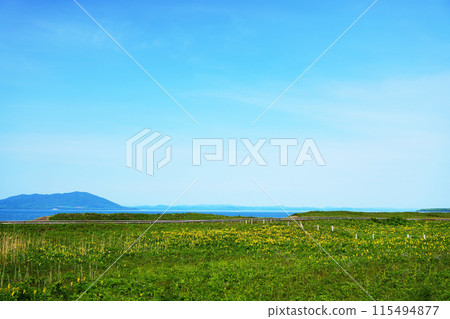 Wakka 原始花園和佐呂間湖，全部塗成黃色，北海道 115494877