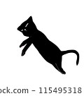 black cat taking a nap 115495318