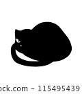 A turning black cat 115495439