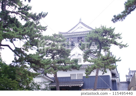 日本城堡 115495440