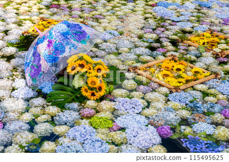Hydrangea Pond, Hydrangea Art, Kaisei Hydrangea Festival 115495625