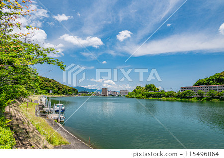 夏季瀨田川風光 滋賀縣大津市 115496064