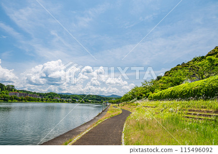 Summer scenery of the Seta River, Otsu City, Shiga Prefecture 115496092