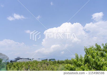 Cumulonimbus clouds starting to grow, Higashine City, Yamagata Prefecture Cumulonimbus clouds starting to grow, Higashine City, Yamagata Prefecture 115496586