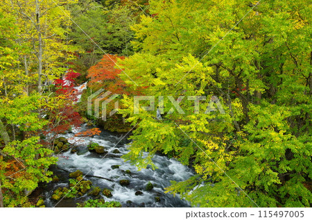 Colored Stream 115497005