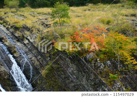 Bedrock Grass Autumn Leaves Bedrock Grass Autumn Leaves 115497029