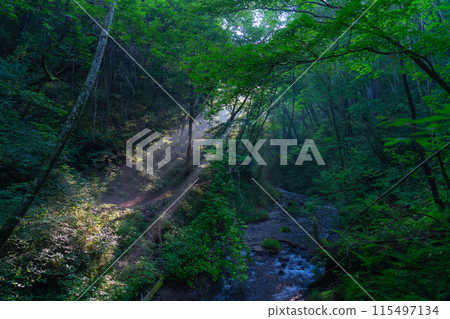 [Light beam material] Summer Tatsugaeshi Falls [Nagano Prefecture] 115497134