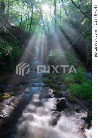 [Light beam material] Summer Tatsugaeshi Falls [Nagano Prefecture] 115497145