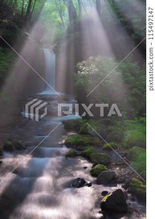 [Light beam material] Summer Tatsugaeshi Falls [Nagano Prefecture] 115497147