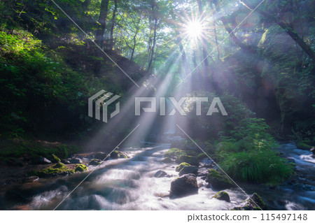 [Light beam material] Summer Tatsugaeshi Falls [Nagano Prefecture] 115497148