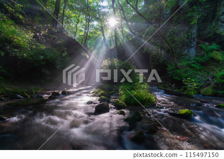 [光束材料]夏天Tatsugaeshi瀑布[長野縣] 115497150