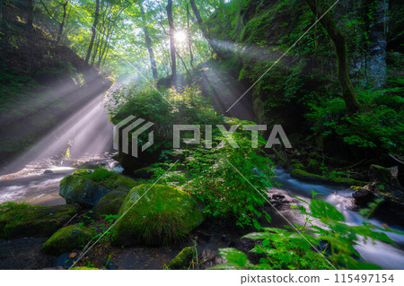 [光束材料]夏天Tatsugaeshi瀑布[長野縣] 115497154