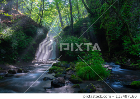 [Light beam material] Summer Tatsugaeshi Falls [Nagano Prefecture] 115497160