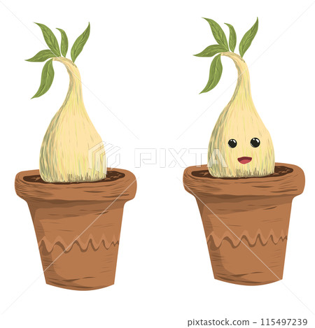 Cute ginger root or ginseng in a flower pot. Vector illustration a beautiful white spine with a face and some leaves on the top. This creature grows in an ordinary clay pot with a simple pattern 115497239