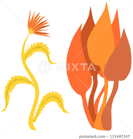 several strange yellow orange stylized plants on a transparent background. Vector illustration 115497247