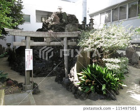 東京中央區鐵保津稻荷神社（Teppozu Inari Shrine）的藤塚 115497501