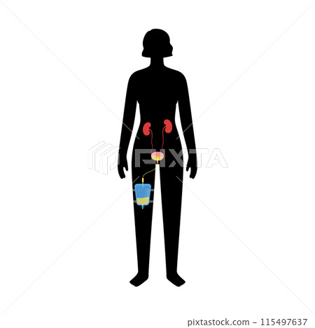 Urinary drainage bag Urinary drainage bag 115497637