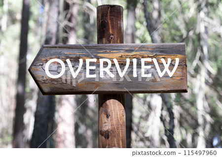 OVERVIEW word on a piece of a wooden pole against the background of a forest 115497960