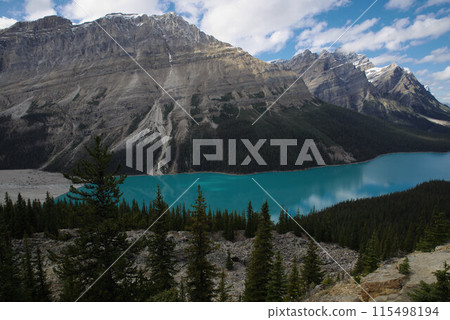 加拿大 加拿大洛磯山脈 Peyto Lake 加拿大 加拿大洛磯山脈 Peyto Lake 115498194