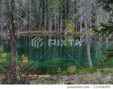 加拿大 坎莫爾 草湖 115498205