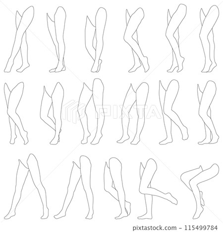 Female leg model outline illustration collection 12 left diagonal front. Illustration set of legs in various poses from toes to waist. Female leg model outline illustration collection 12 left diagonal front. Illustration set of legs in various poses from toes to waist. 115499784