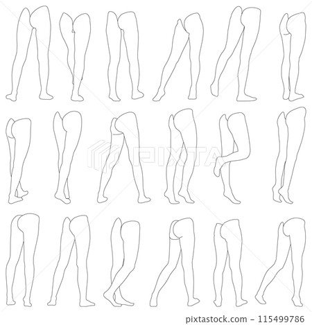 Blank Leg Diagram