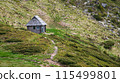 Mountain hut in valley. Carpathians, Europe. Beautiful mountain. 115499801
