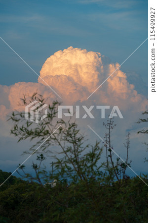 夏日的天空，天空飄浮著雷雲 115499927