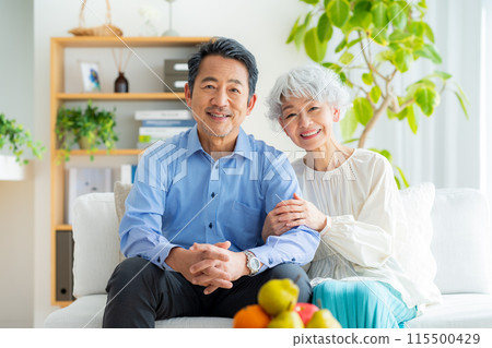 Senior couple relaxing in the living room 115500429
