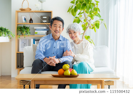Senior couple relaxing in the living room 115500432