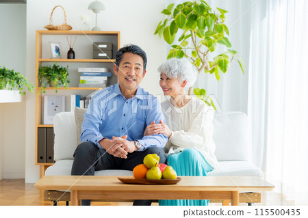 Senior couple relaxing in the living room 115500435