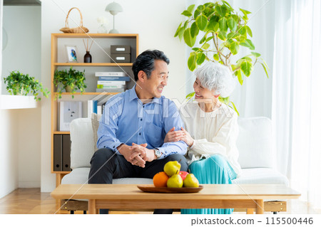 Senior couple relaxing in the living room 115500446