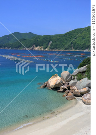 Early summer scenery of Shirahama Beach on Kashiwajima (Otsuki Town, Kochi Prefecture) Early summer scenery of Shirahama Beach on Kashiwajima (Otsuki Town, Kochi Prefecture) 115501672