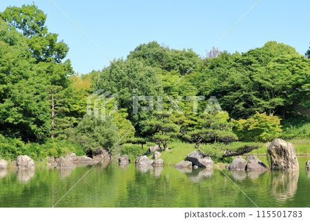 A park garden surrounded by vibrant greenery 115501783