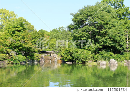 A park garden surrounded by vibrant greenery 115501784