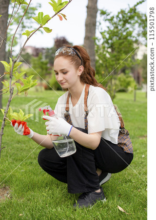 Side view of young pretty woman growing trees, sprayig bush, holding by hands. Concept of taking care of plants. 115501798