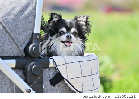 微笑吉娃娃散步使用狗車遮陽罩夏季材料 115502121