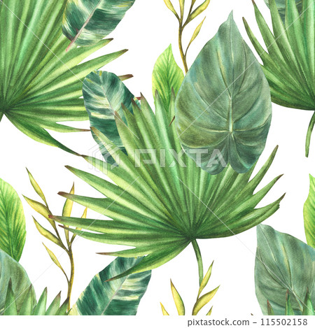 Tropical leaves seamless pattern. Jungle plants, exotic green foliage. Floral watercolor hand drawn illustration Palm, creeper, Philodendron greenery. Summer repeating clipart on isolated background.  115502158