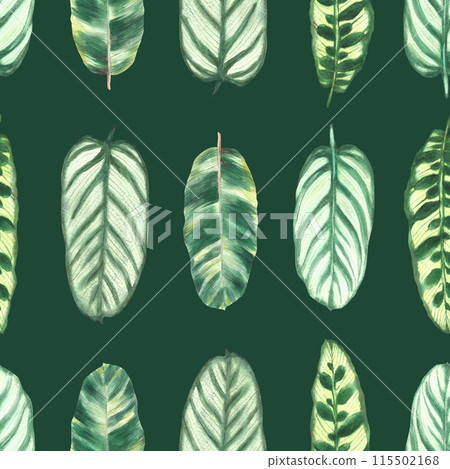 Tropical leaves seamless pattern, watercolor jungle vibrant green plants leaf Summer exotic foliage. Hand drawn illustration for wallpaper, textiles, Hawaiian fabric print. Isolated dark background Tropical leaves seamless pattern, watercolor jungle vibrant green plants leaf Summer exotic foliage. Hand drawn illustration for wallpaper, textiles, Hawaiian fabric print. Isolated dark background 115502168