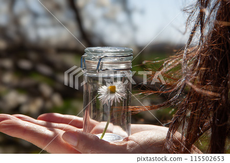 Glass Jar with Single Daisy Flower. Herbal Concept Glass Jar with Single Daisy Flower. Herbal Concept 115502653