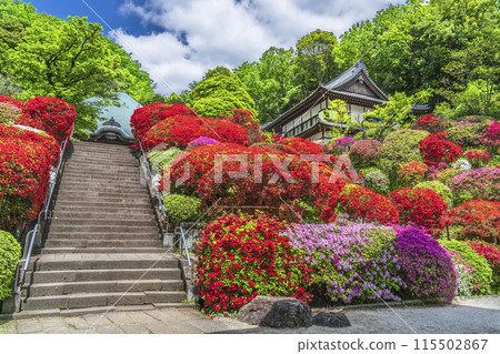 川崎旅遊勝地「上木山東閣院（厚寺）」的風景【神奈川縣川崎市】 115502867