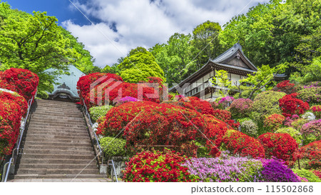 川崎旅遊勝地「上木山東閣院(厚寺)」的風景【神奈川縣川崎市】 川崎旅遊勝地「上木山東閣院(厚寺)」的風景【神奈川縣川崎市】 115502868